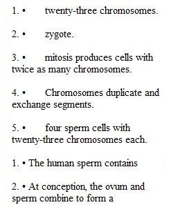 Quiz Chapter 3